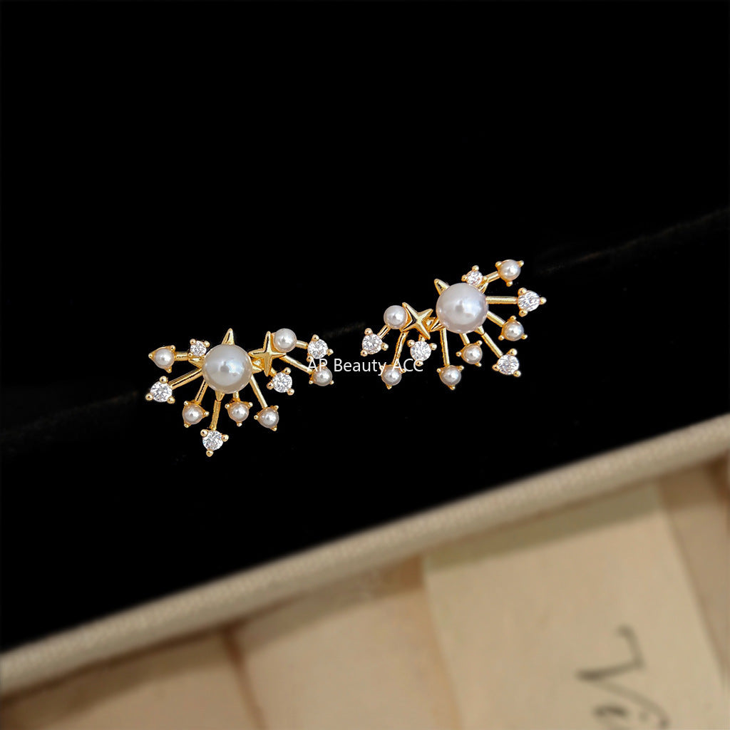 A廠-煙火鑲鋯石時尚高級感新款925銀針滿天星耳環女 氣質個性耳釘「6900」25.10-2