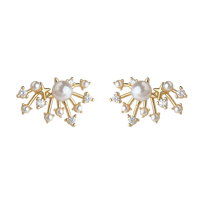 A廠-煙火鑲鋯石時尚高級感新款925銀針滿天星耳環女 氣質個性耳釘「6900」25.10-2