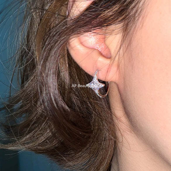 C廠-輕奢爆閃潮流鋯石四芒星耳環女精緻貴氣高級感銀針耳扣秋冬耳飾「EH-4285」25.11-4